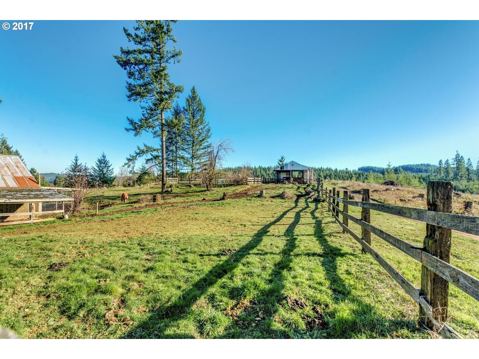 24165 Northwest Ridge Road Forest Grove, OR 97116 - Photo 18 of 29 Gallery Image 18