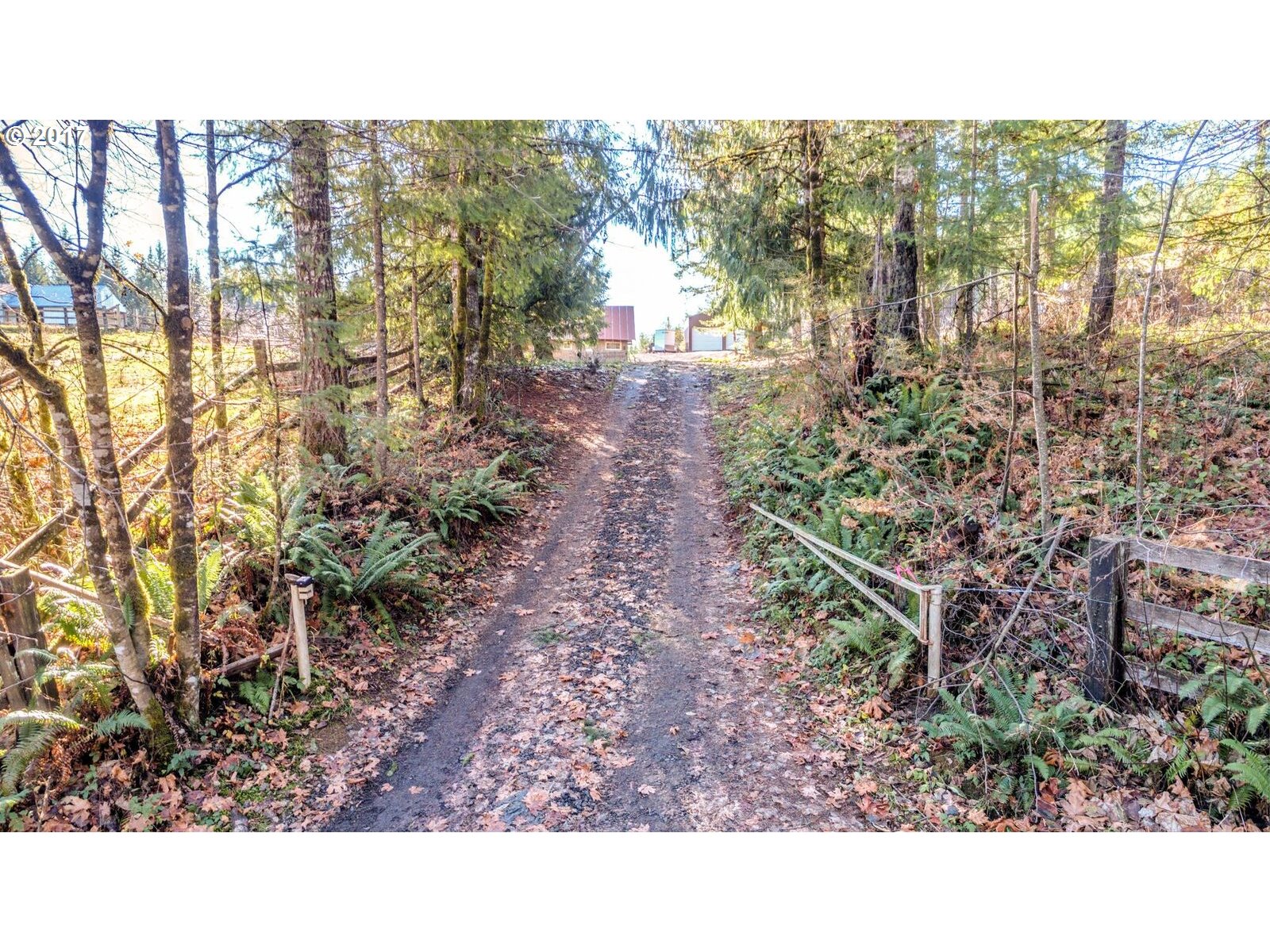 24165 Northwest Ridge Road Forest Grove, OR 97116 - Photo 22 of 29 Gallery Image 22