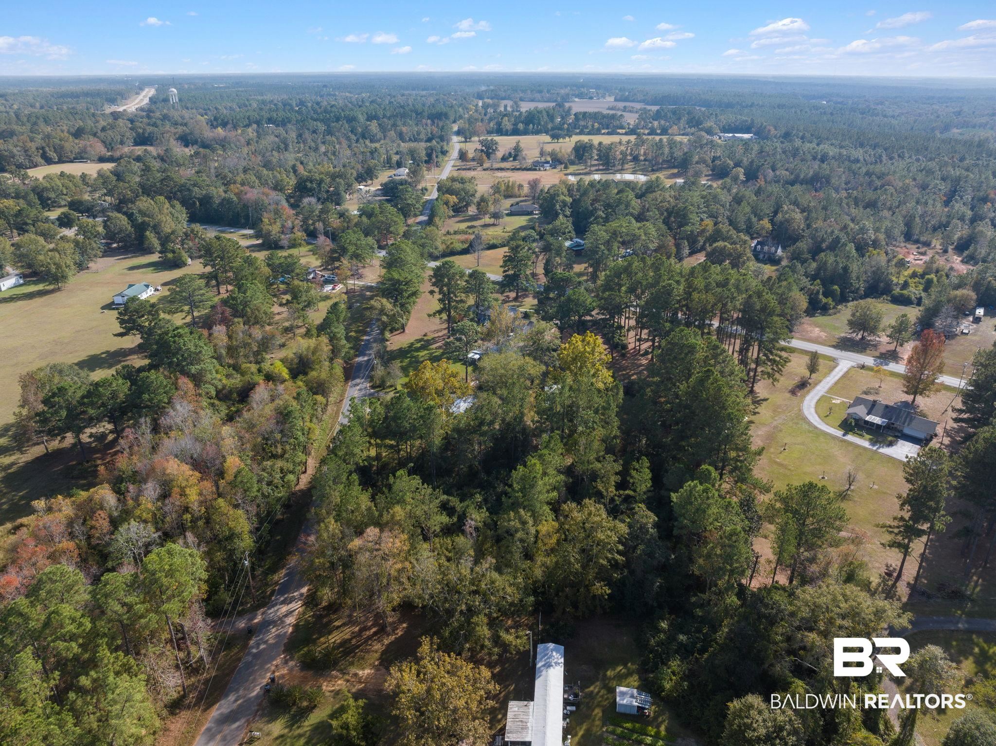 35741 Pine Road North Stapleton, AL 36578 - Photo 4 of 11