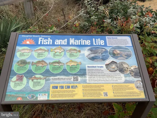 $675,000 | 20925 Thawley Lane, Milford, DE 19963