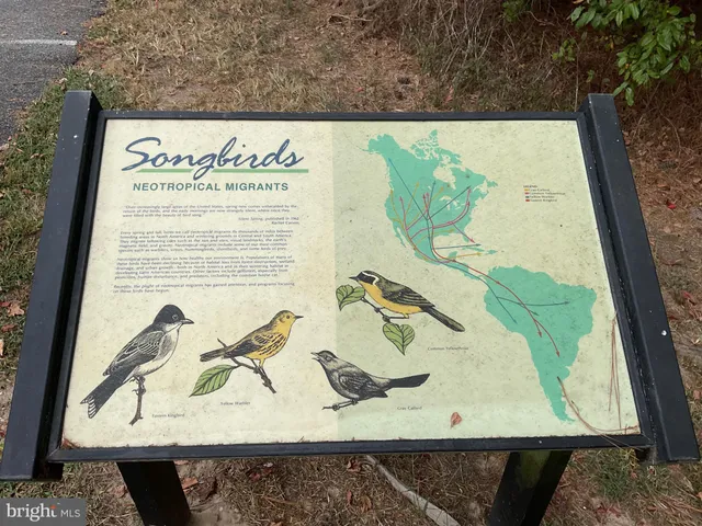 $675,000 | 20925 Thawley Lane, Milford, DE 19963