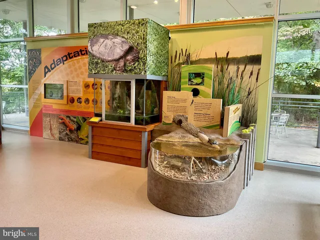 $675,000 | 20925 Thawley Lane, Milford, DE 19963