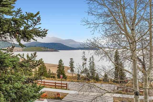 a view of street with flower plants