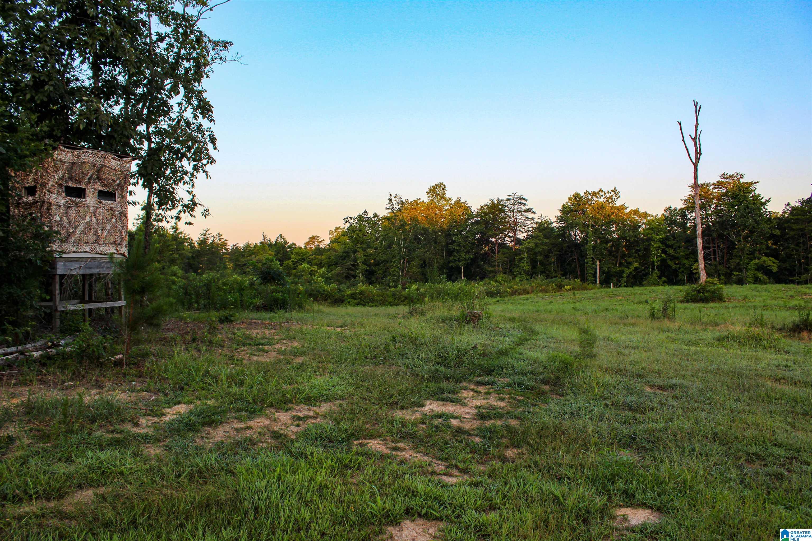 Bonner Drive, Unit 1 Berry, AL 35546 - Photo 1 of 56