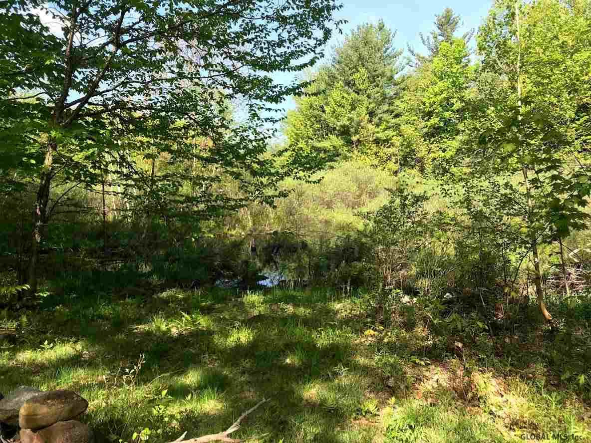 383 Lake Desolation Road Greenfield, NY 12850 - Photo 11 of 12 Photo 11