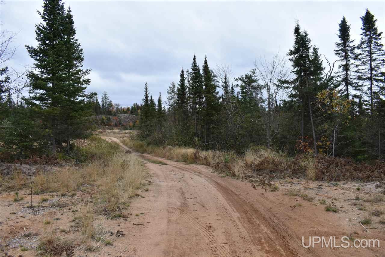 40-acres 40-acres Off Co Road Gwinn, MI 49841 - Photo 2 of 22