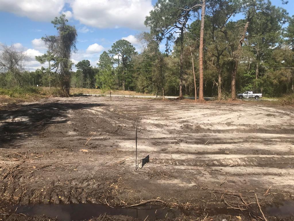 5 Locust Circle Ocala, FL 34472 - Photo 1 of 1 a view of a yard with large trees