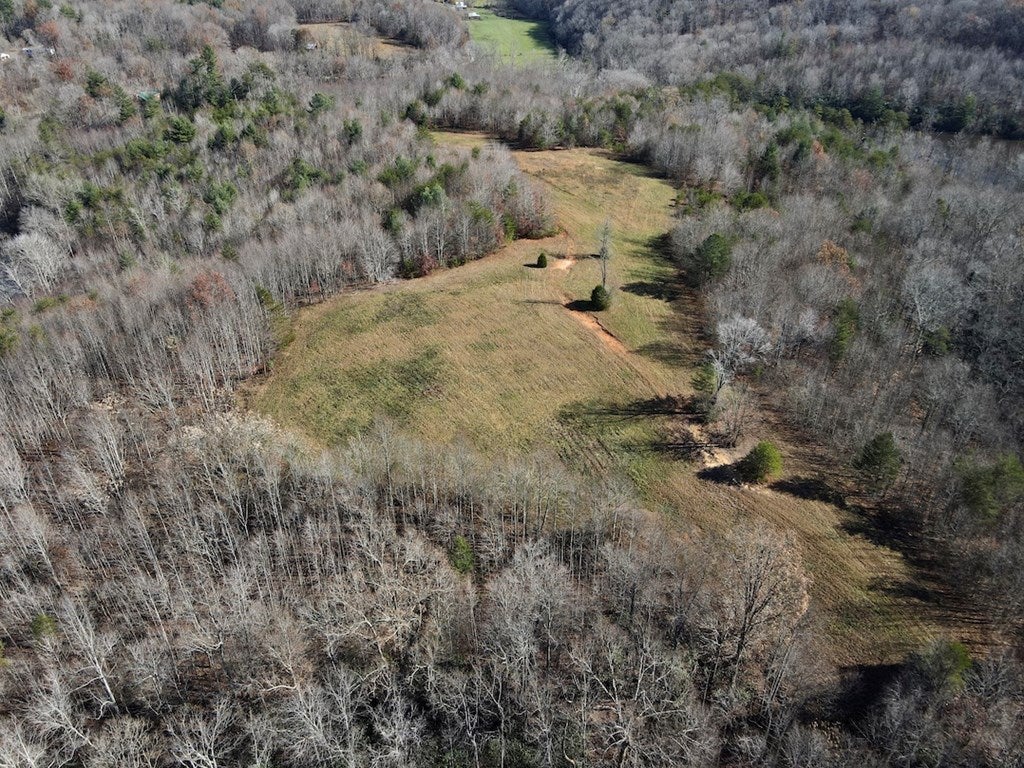 Old Mill Road Patrick Springs, VA 24133 - Photo 19 of 49 Gallery Image 19