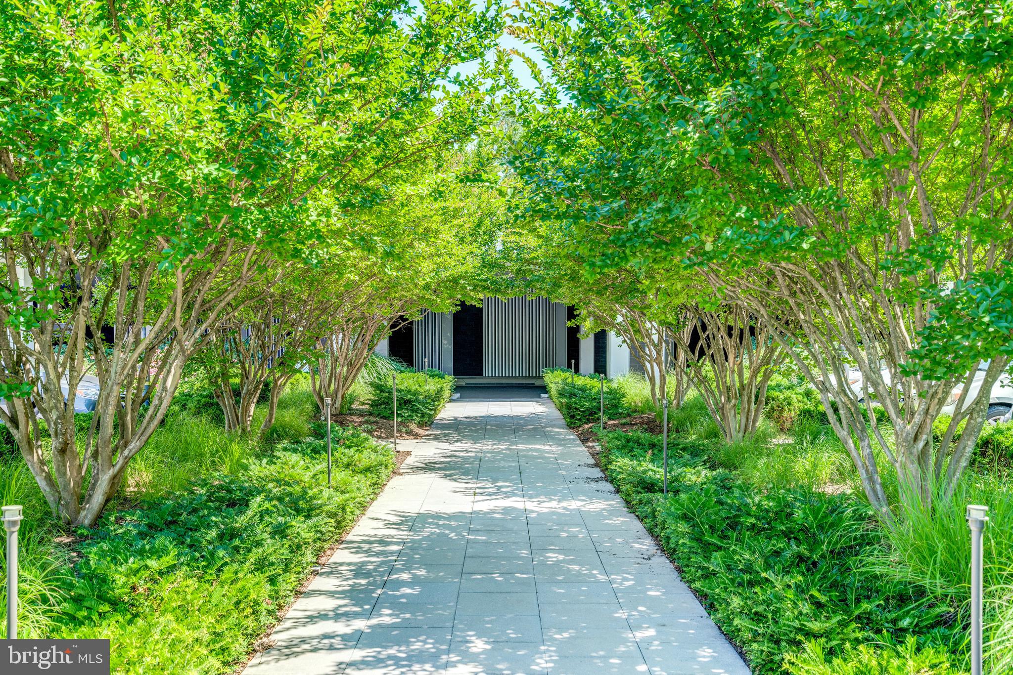 5101 River Road, Unit 1217 Bethesda, MD 20816 - Photo 2 of 61 Leafy walkway to the main entrance