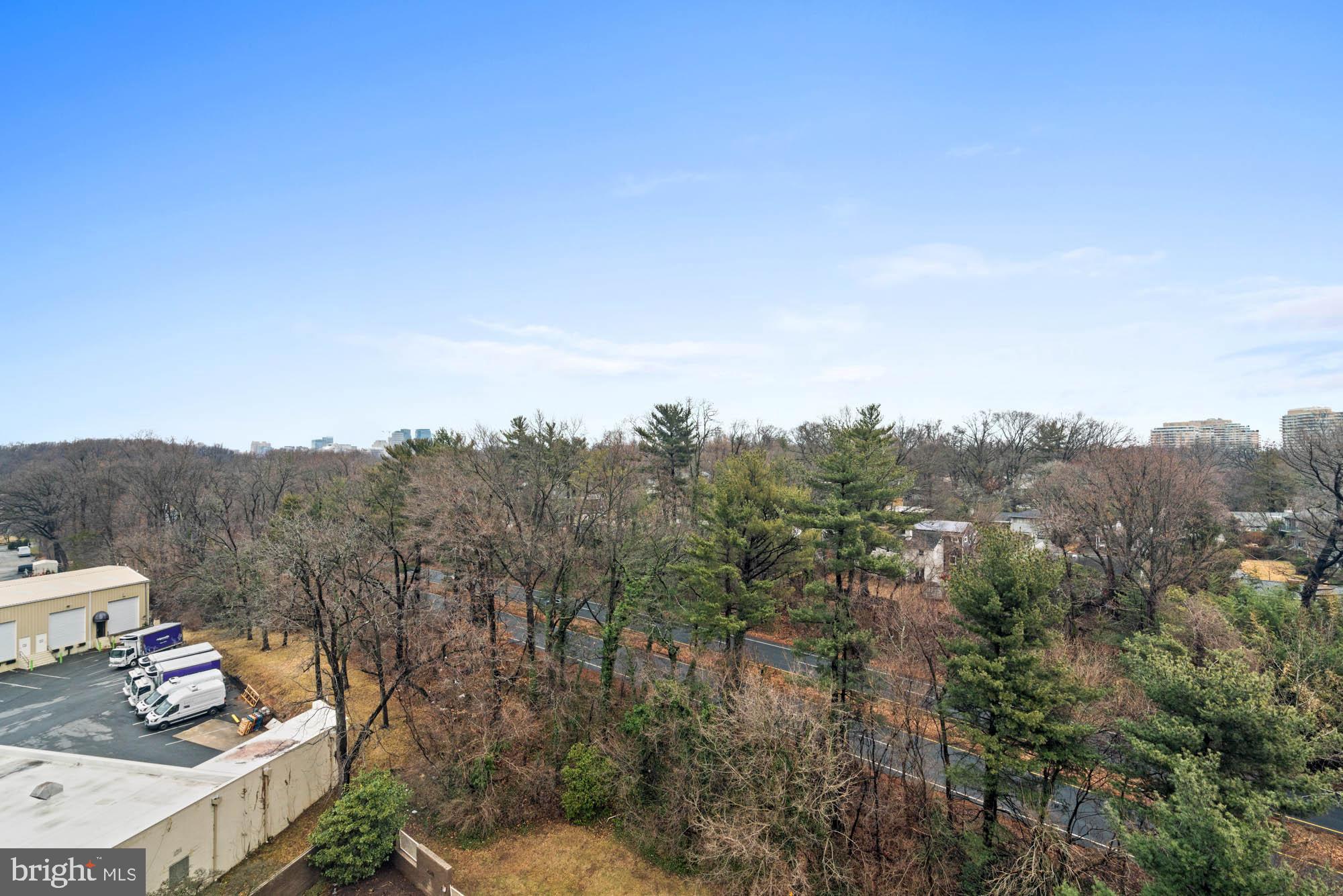 5101 River Road, Unit 1217 Bethesda, MD 20816 - Photo 46 of 61 Long-range leafy views out the bedroom window