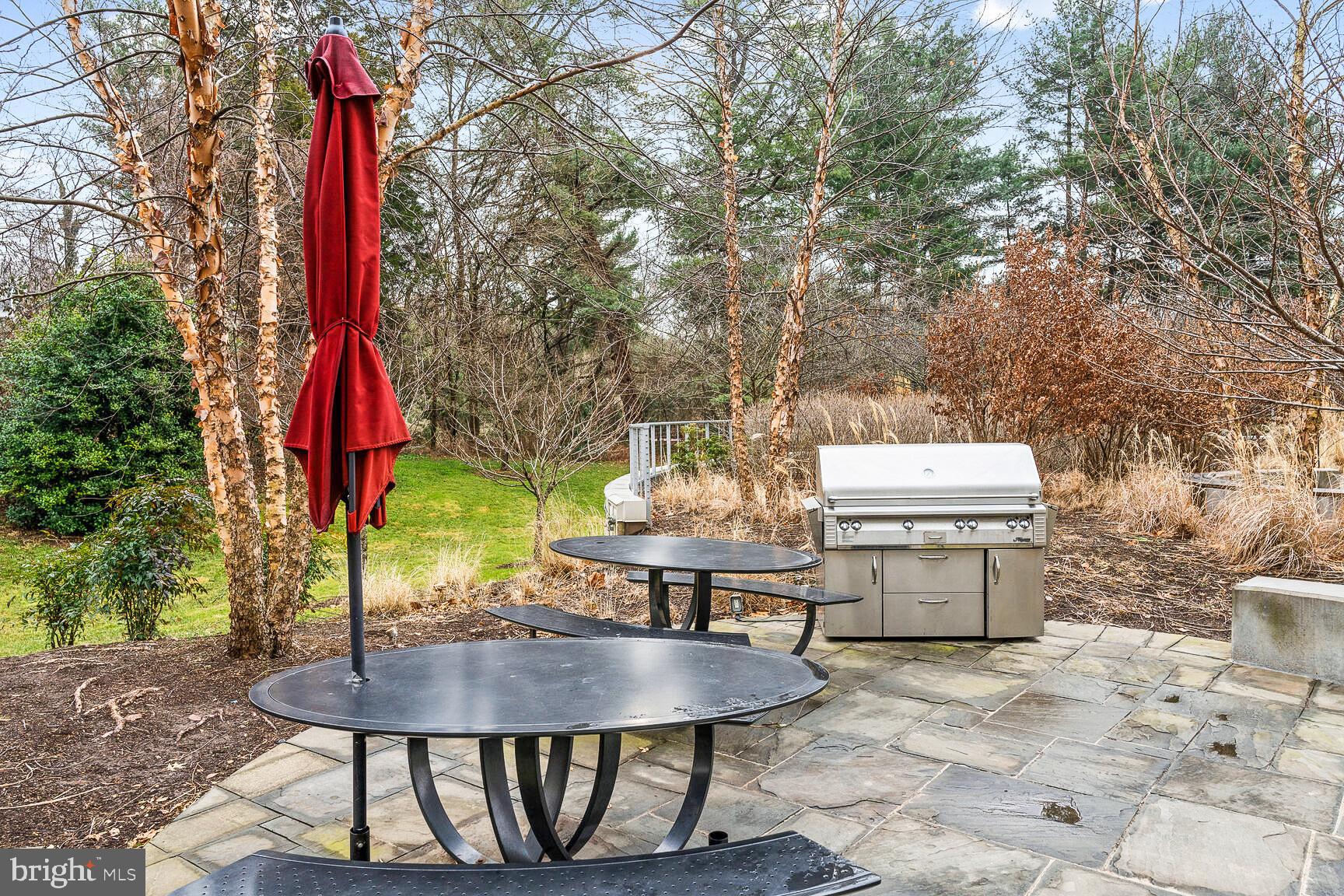 5101 River Road, Unit 1217 Bethesda, MD 20816 - Photo 59 of 61 Outdoor dining and grilling area