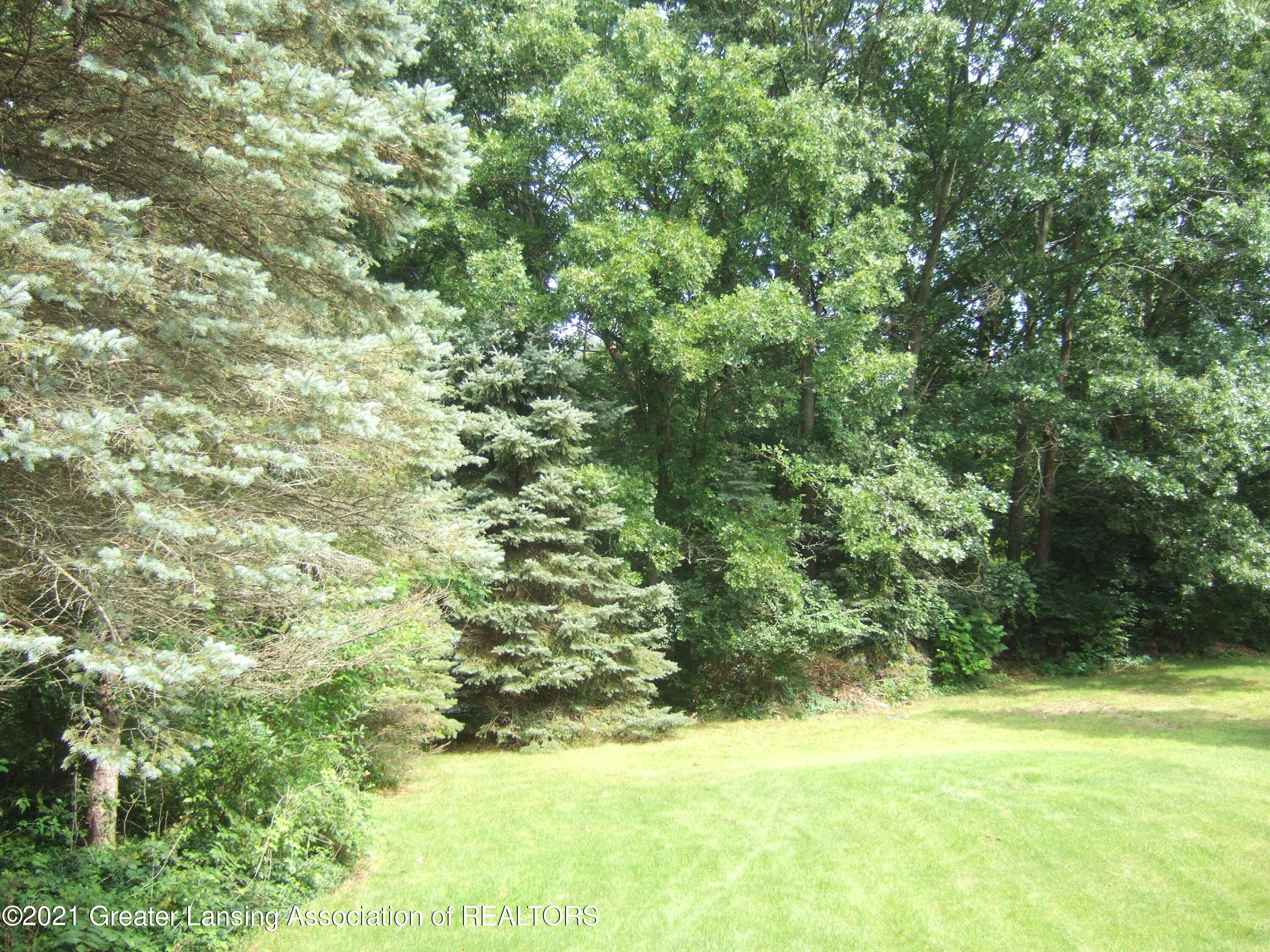 47 East Newman Road Williamston, MI 48895 - Photo 33 of 51 View from the Deck