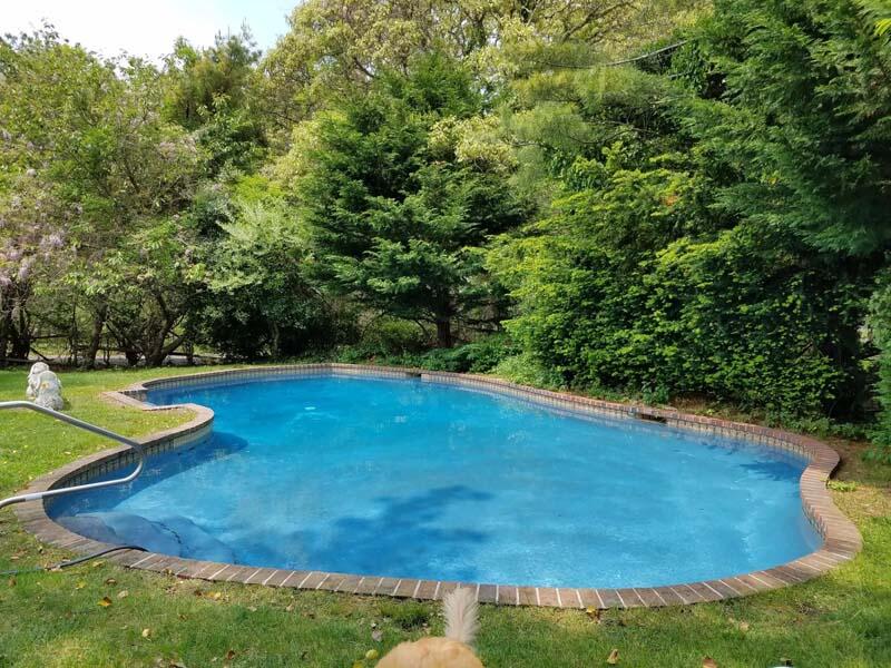 17 Soundview Road Harwich, MA 02645 - Photo 4 of 37 a view of a backyard with swimming pool