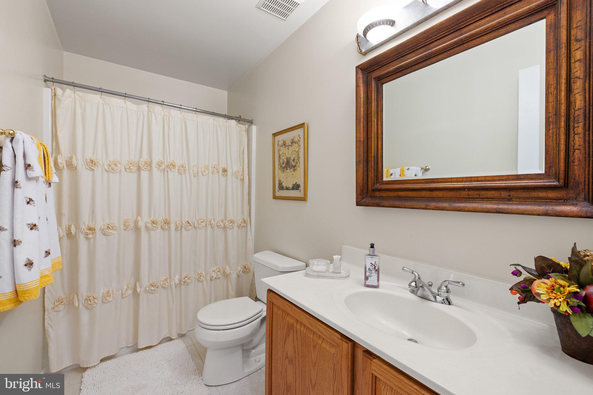 11099 Victor Drive Marshall, VA 20115 - Photo 44 of 65 Upper level bathroom #1