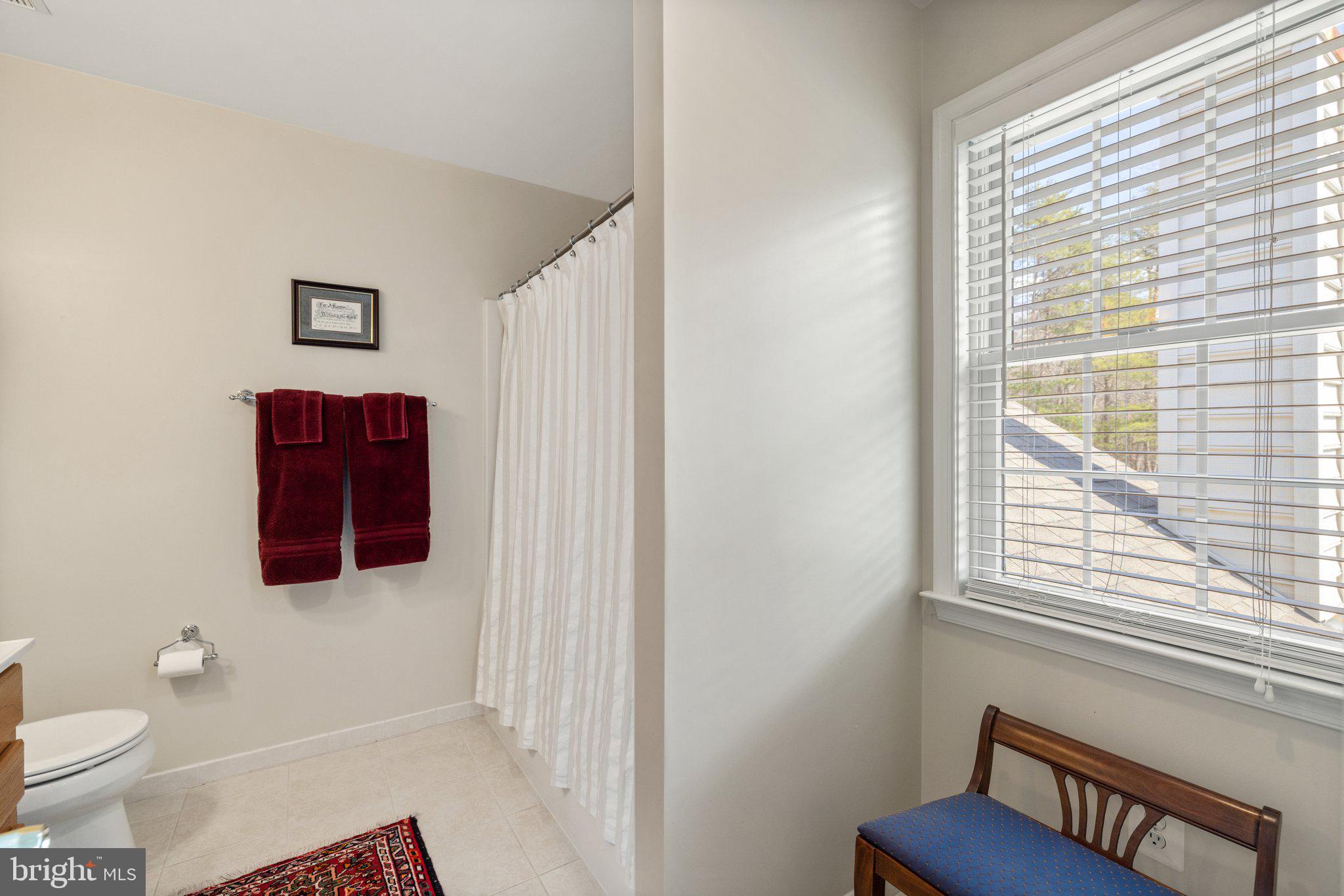 11099 Victor Drive Marshall, VA 20115 - Photo 46 of 65 Upper level bathroom #2