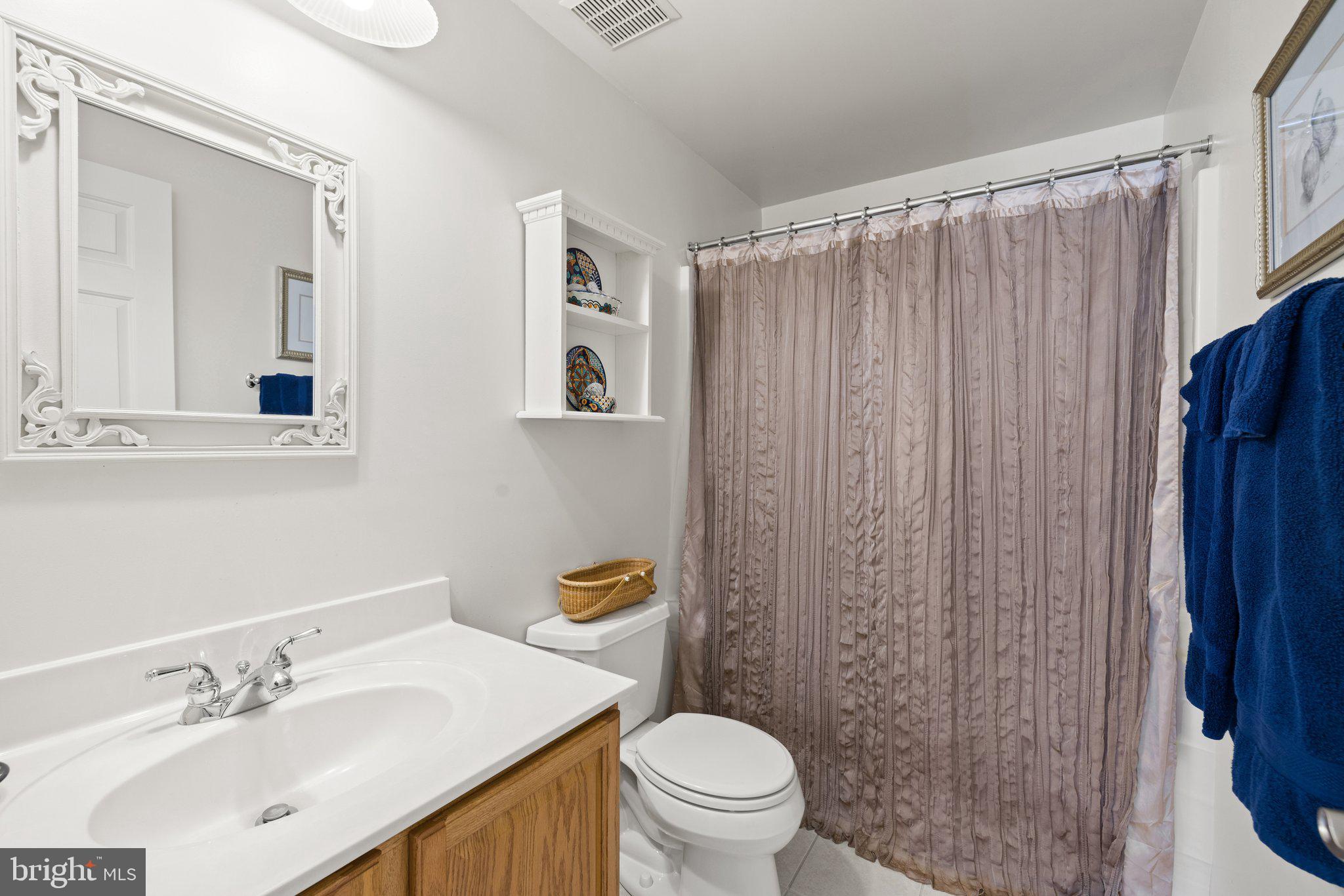 11099 Victor Drive Marshall, VA 20115 - Photo 55 of 65 Lower Level Full bath