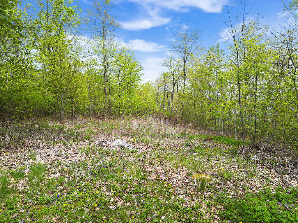 7 Frog Holler Lane Augusta, ME 04330 - Photo 10 of 59 12_DJI_0862_DxO_mls