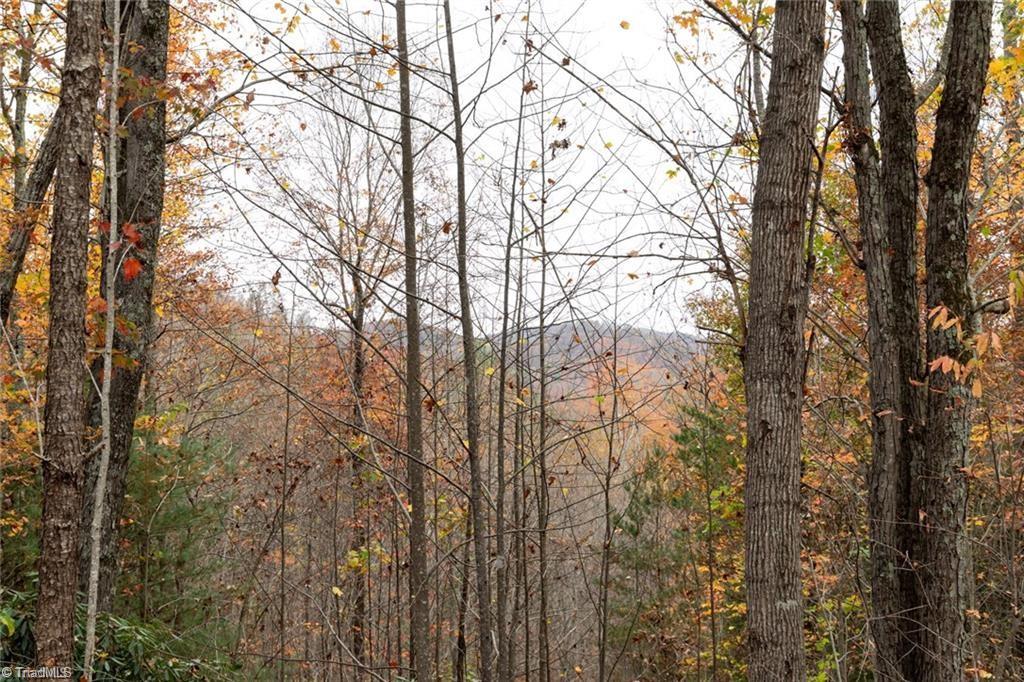 421 US Highway 421 Ferguson, NC 28624 - Photo 22 of 42