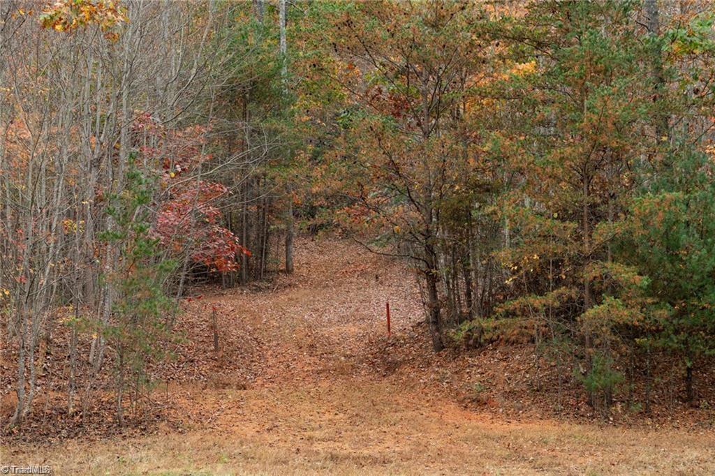 421 US Highway 421 Ferguson, NC 28624 - Photo 9 of 42