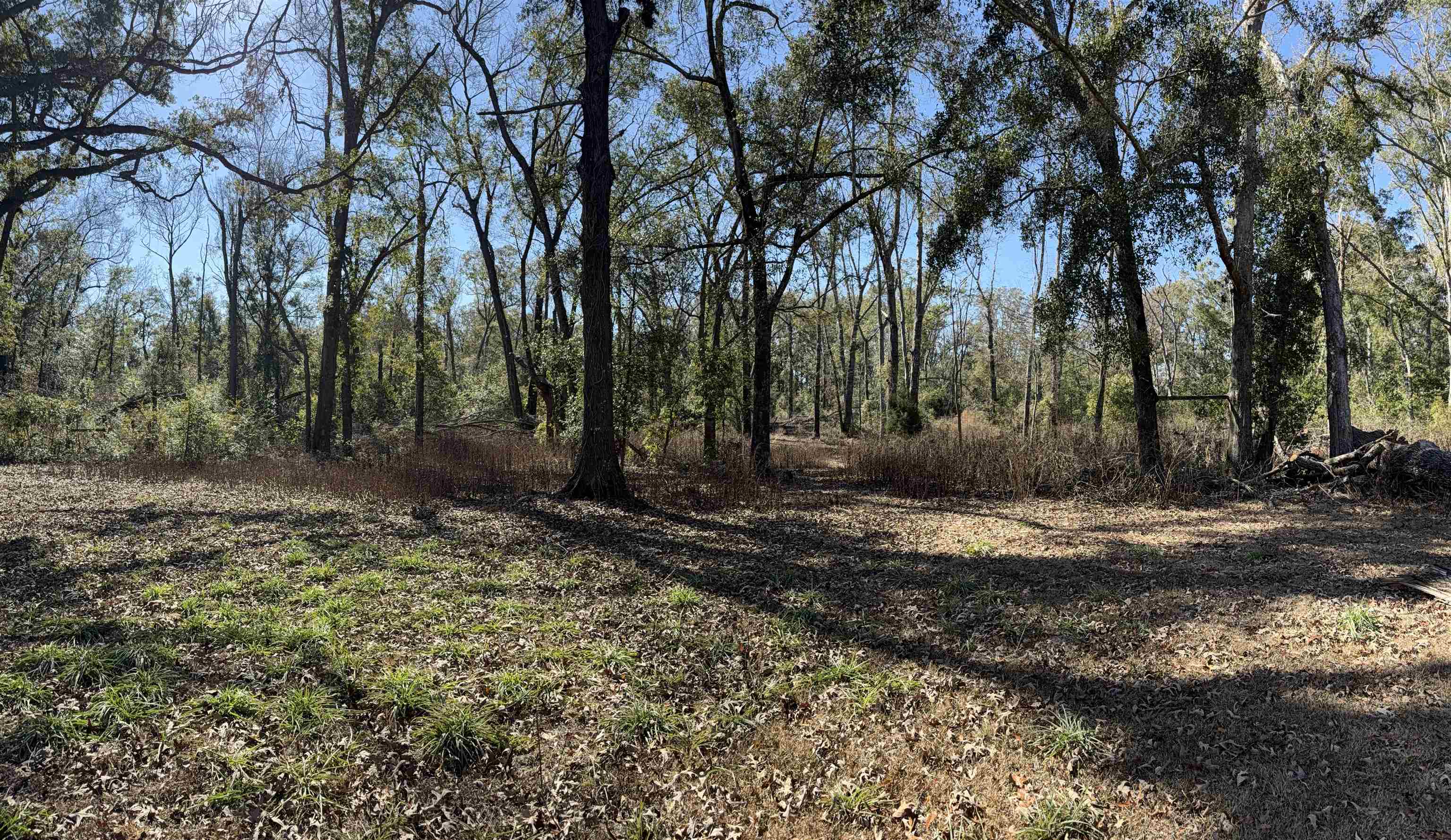 18865 89th Road McAlpin, FL 32062 - Photo 20 of 22