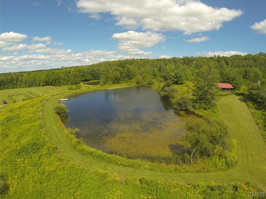 0 Cartwright Road Hunt, NY 14846 - Photo 1 of 1