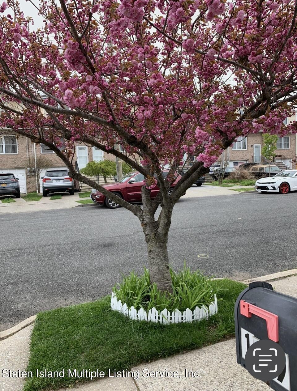 109 Hempstead Avenue Staten Island, NY 10306 - Photo 3 of 31 IMG_4485