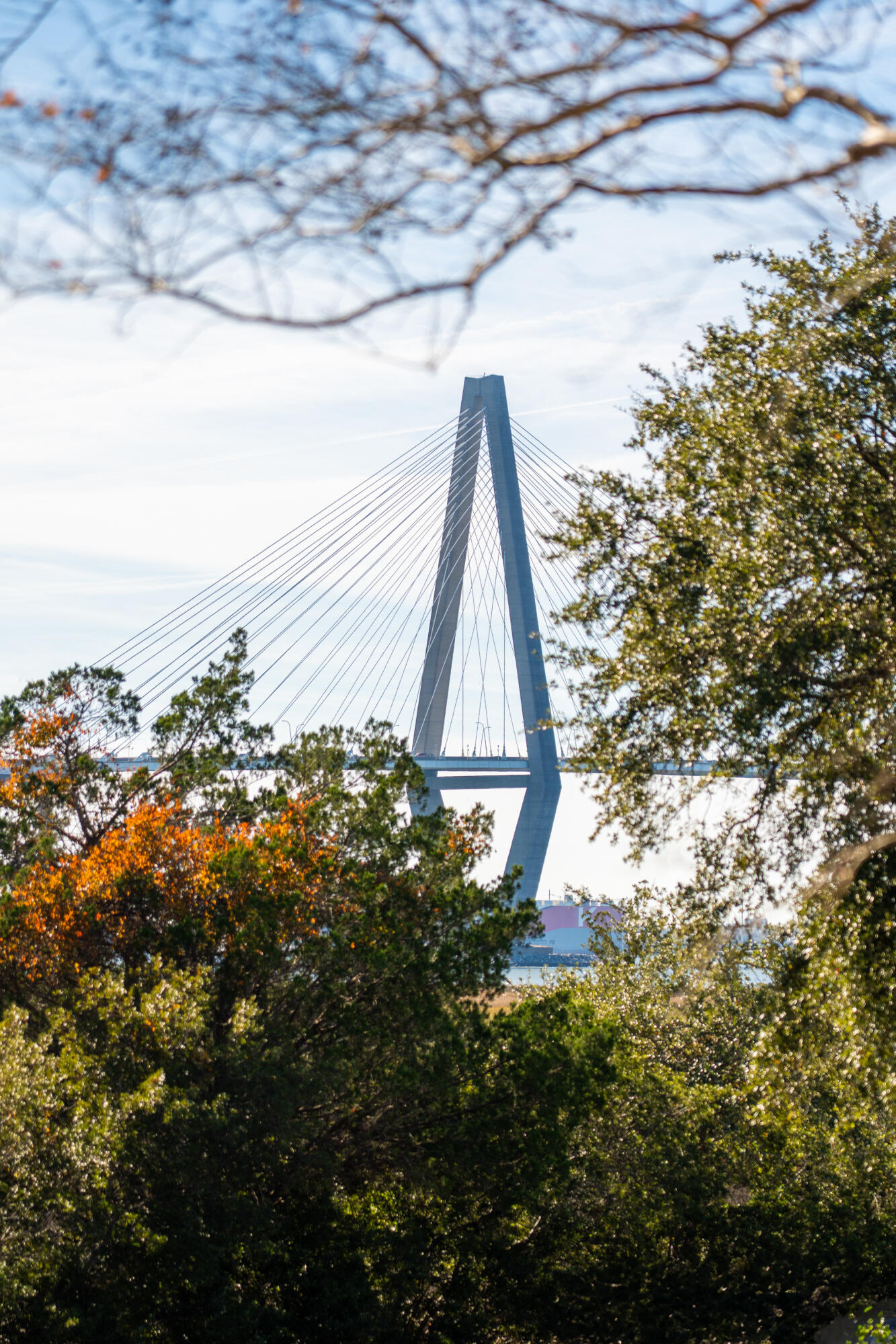 832 Fiddlers Point Lane Mount Pleasant, SC 29464 - Photo 5 of 31 832FiddlersPointLn-KeenEyeMarketing-010
