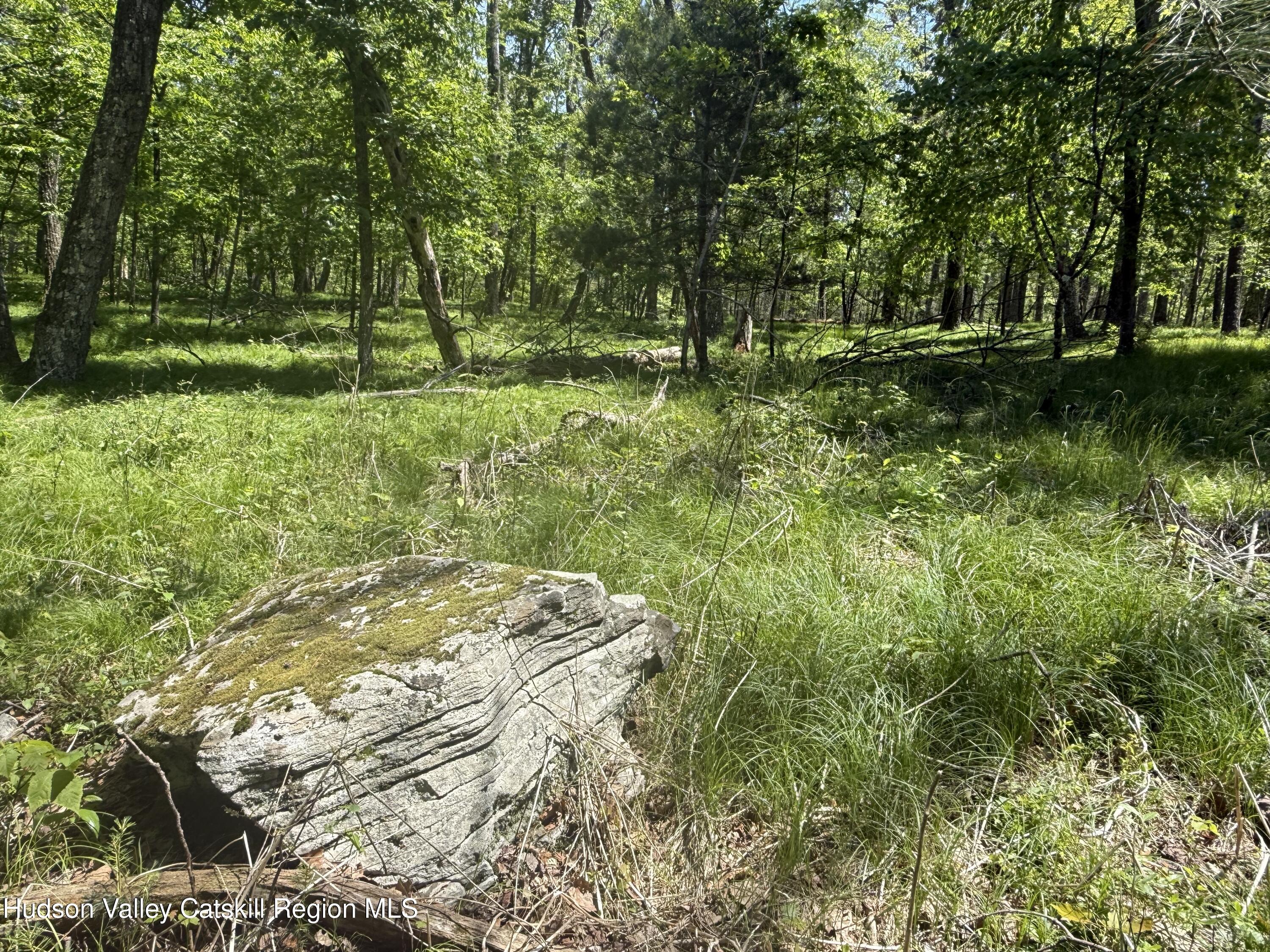338 Mossy Hill Road Catskill, NY 12414 - Photo 4 of 17 IMG_2360