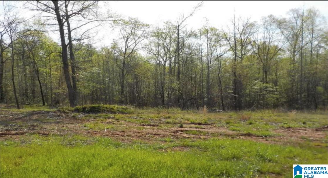 5721 South Shades Crest Road, Unit 1 Helena, AL 35022 - Photo 2 of 9