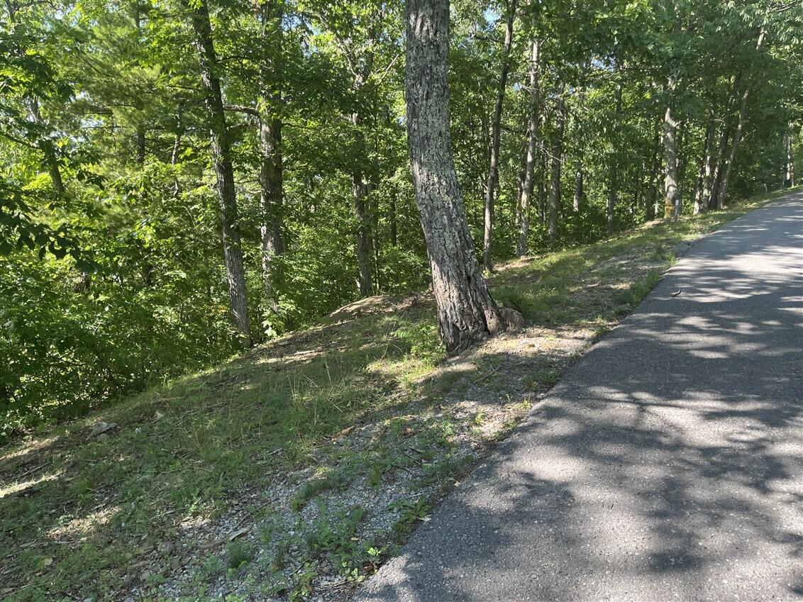 Lot 20 Wildwood Ridge Lindside, WV 24951 - Photo 8 of 21 Gallery Image 8