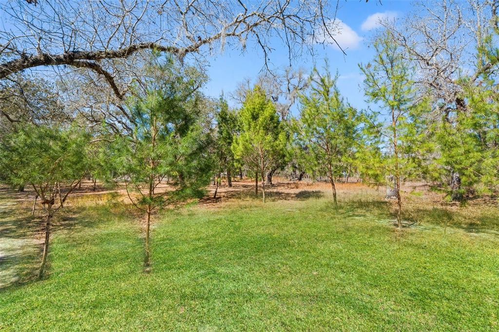 12222 Beagle Road Hudson, FL 34667 - Photo 56 of 78 Gallery Image 56