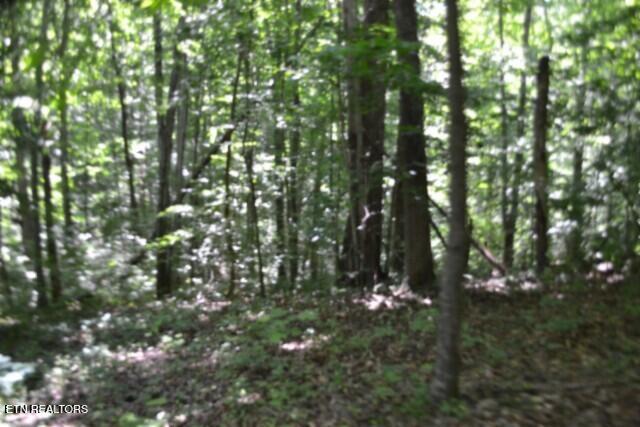 2390 Pea Ridge Fire Tower Road Celina, TN 38551 - Photo 22 of 58 DSC_0099