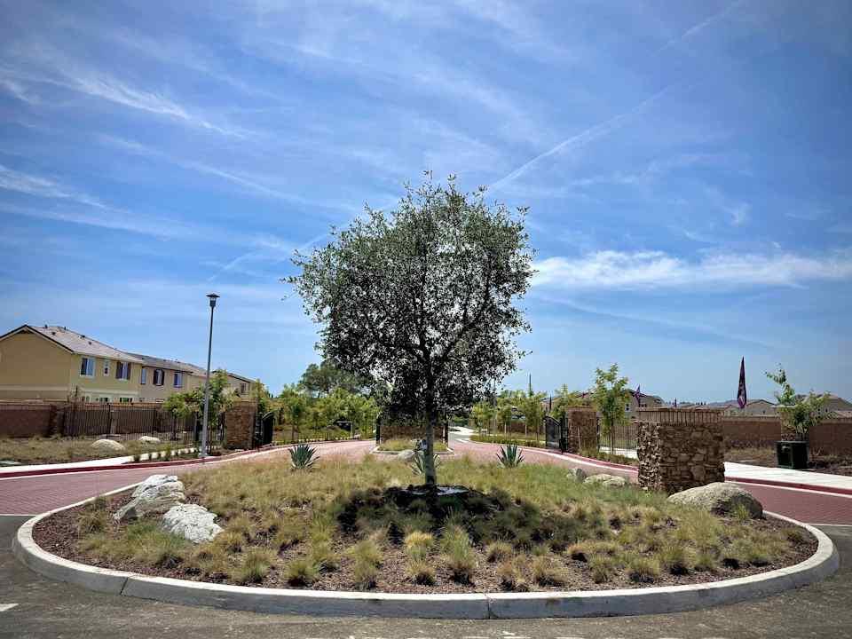 253 Rafters Court Lincoln, CA 95648 - Photo 13 of 14 a view of a swimming pool