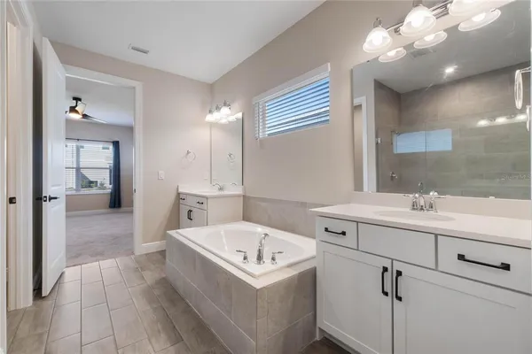 a bathroom with a sink a mirror and a bathtub