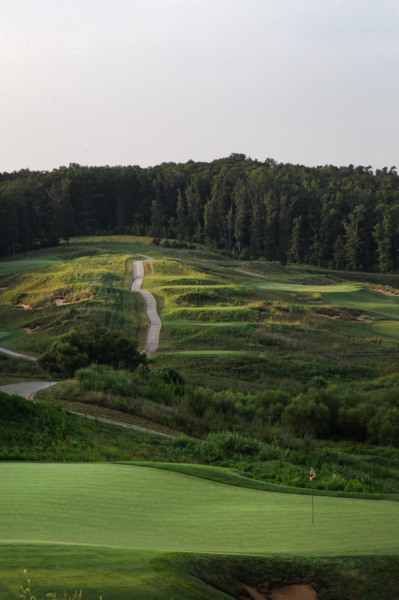 3891 Saul Lane Roanoke, VA 24014 - Photo 36 of 61 a view of a grassy field with an trees