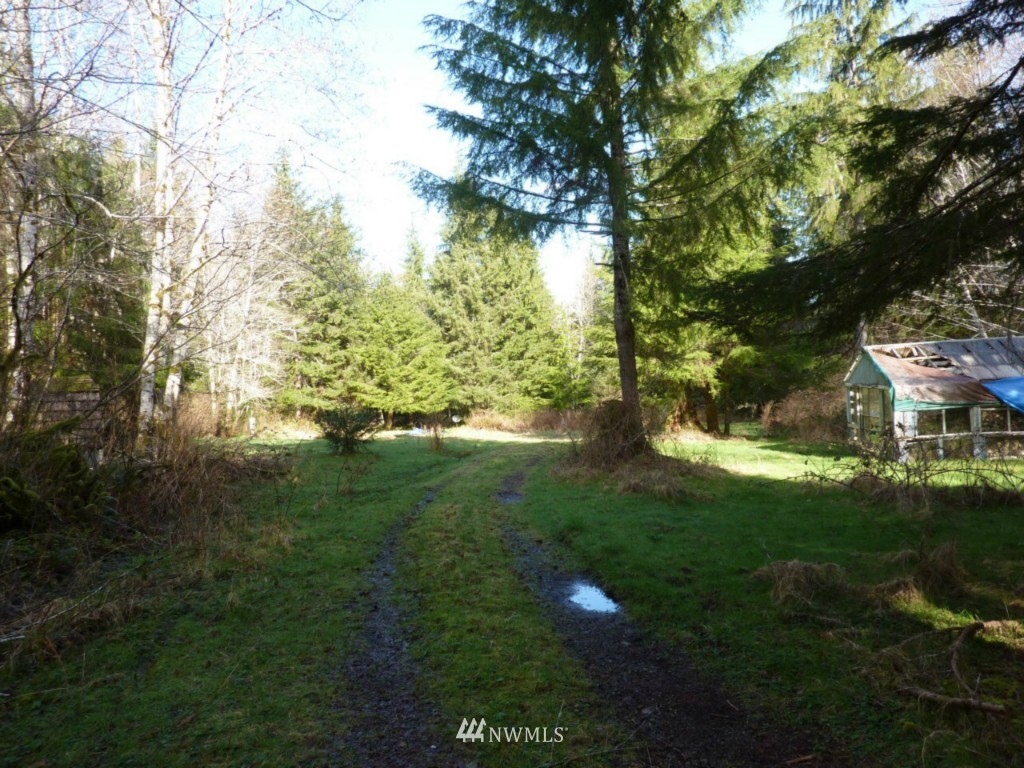 85 Dowan Creek Road Forks, WA 98331 - Photo 2 of 5