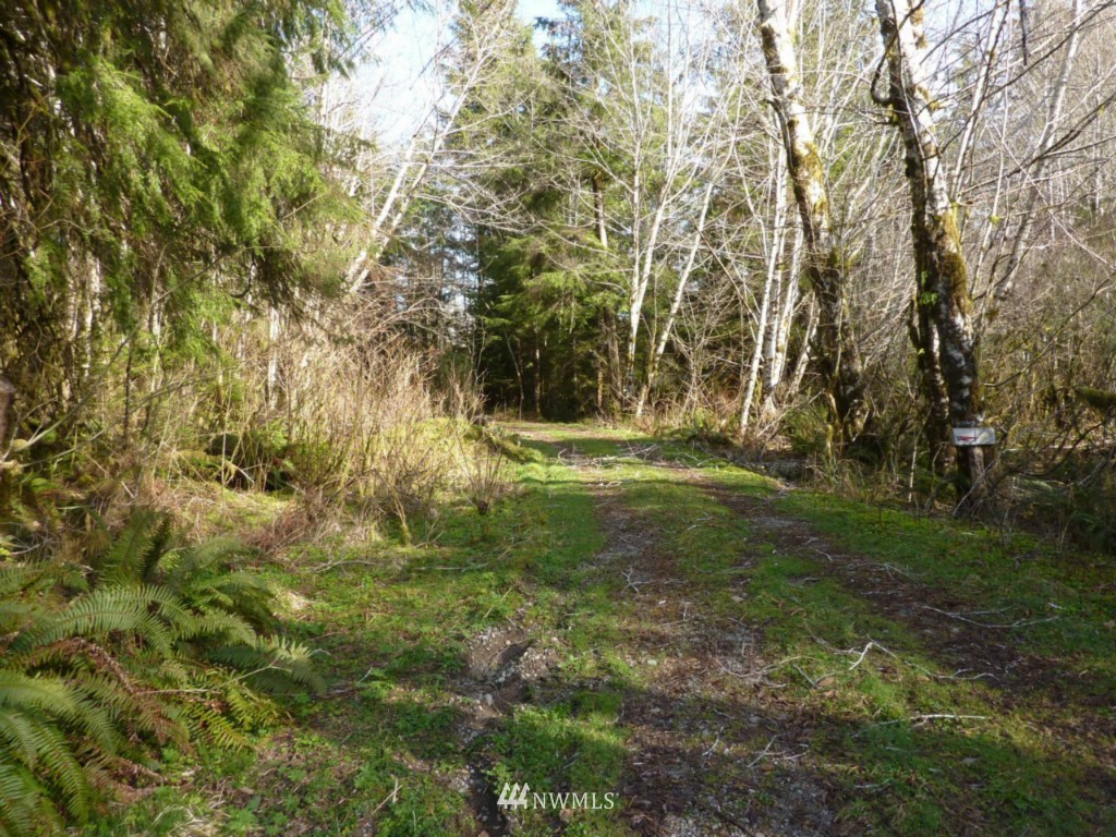 85 Dowan Creek Road Forks, WA 98331 - Photo 4 of 5