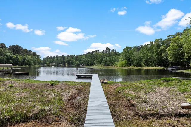 a view of a lake with a large trees