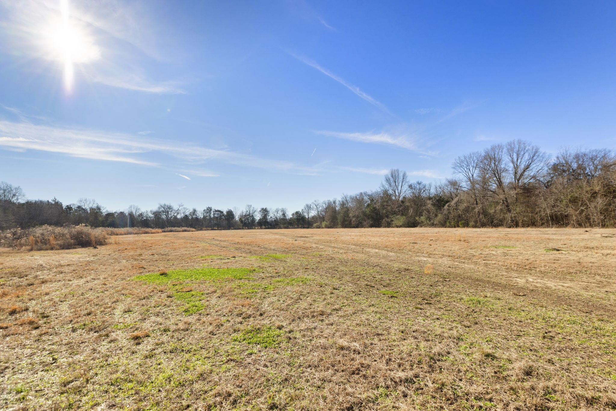 2265 Holly Grove Road Lewisburg, TN 37091 - Photo 12 of 47