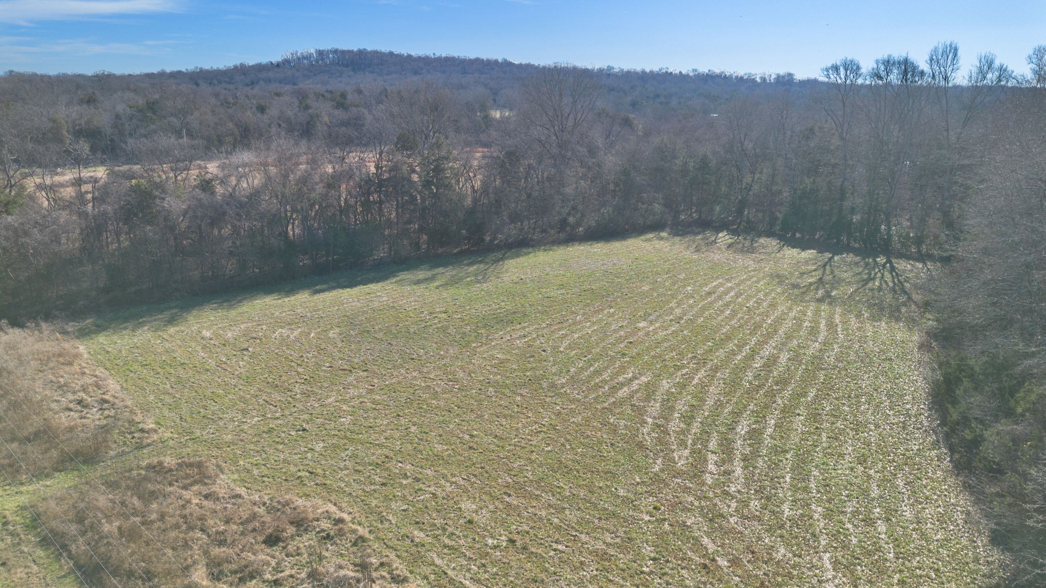 2265 Holly Grove Road Lewisburg, TN 37091 - Photo 21 of 47 a view of a lake view