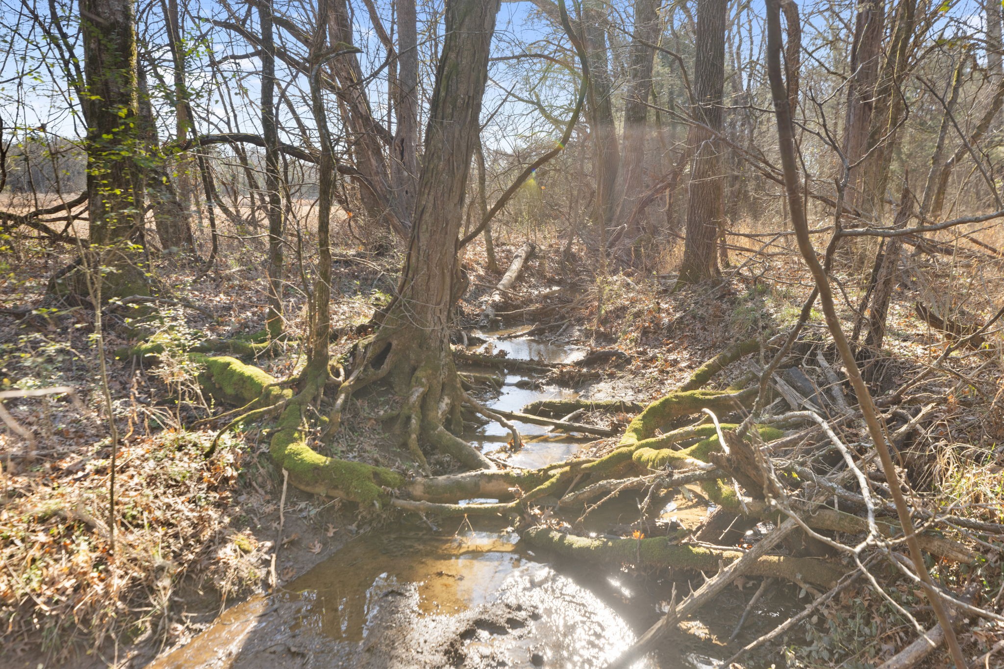 2265 Holly Grove Road Lewisburg, TN 37091 - Photo 3 of 47