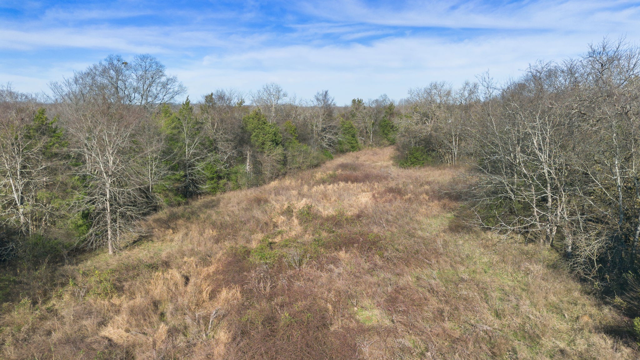 2265 Holly Grove Road Lewisburg, TN 37091 - Photo 34 of 47 a view of a dry yard