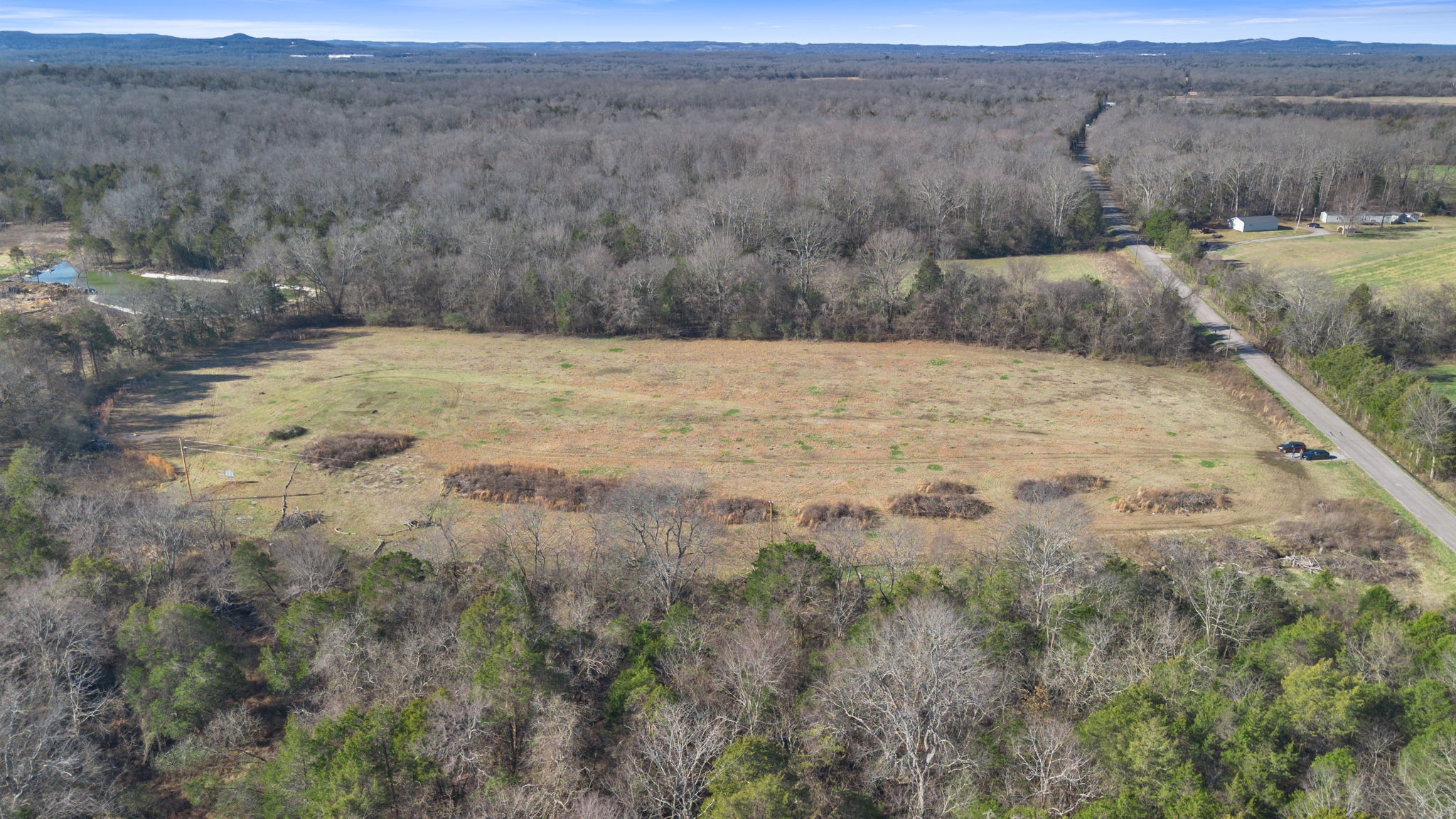 2265 Holly Grove Road Lewisburg, TN 37091 - Photo 37 of 47 a view of a dry yard covered with trees