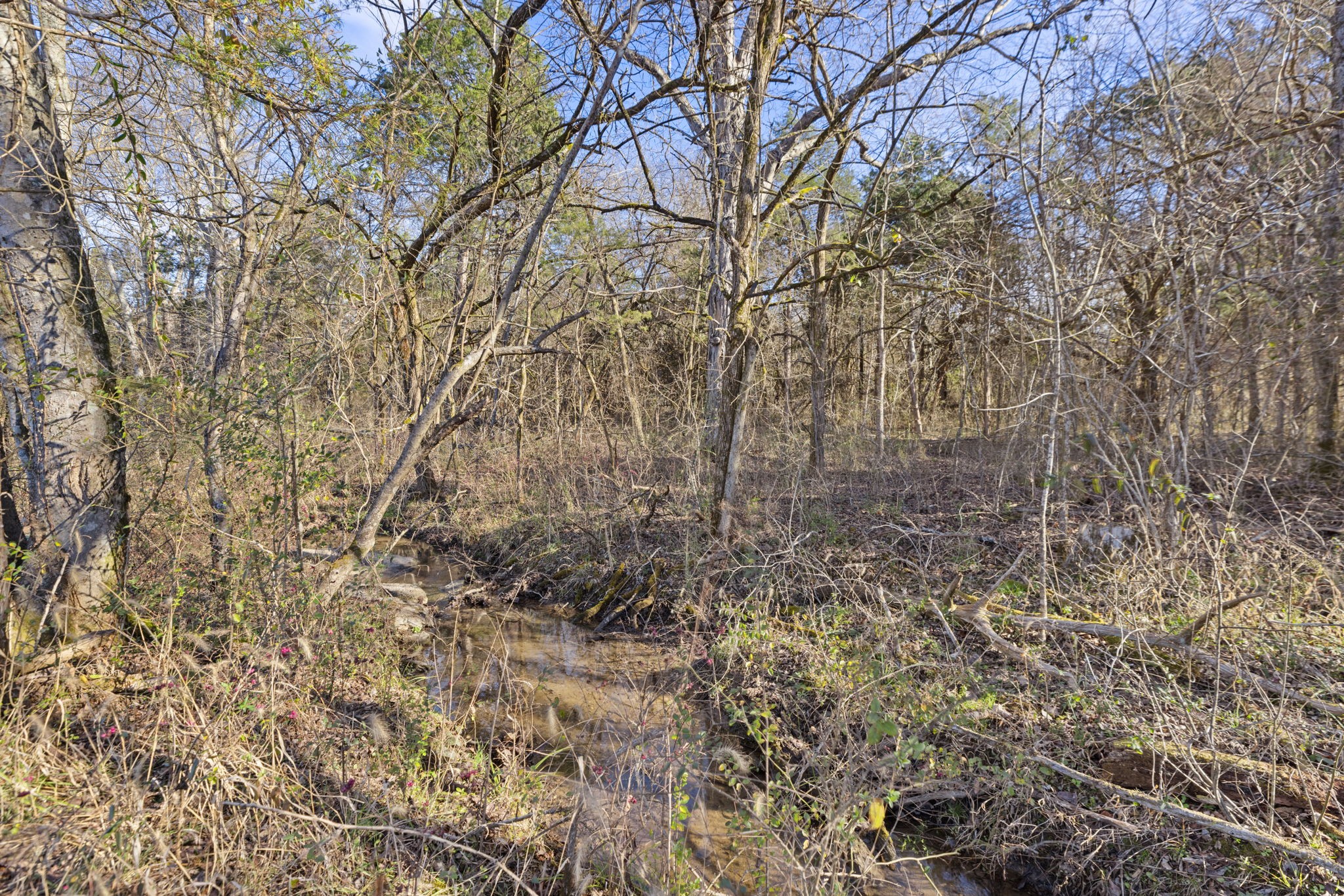 2265 Holly Grove Road Lewisburg, TN 37091 - Photo 42 of 47 a backyard of a house with lots of trees