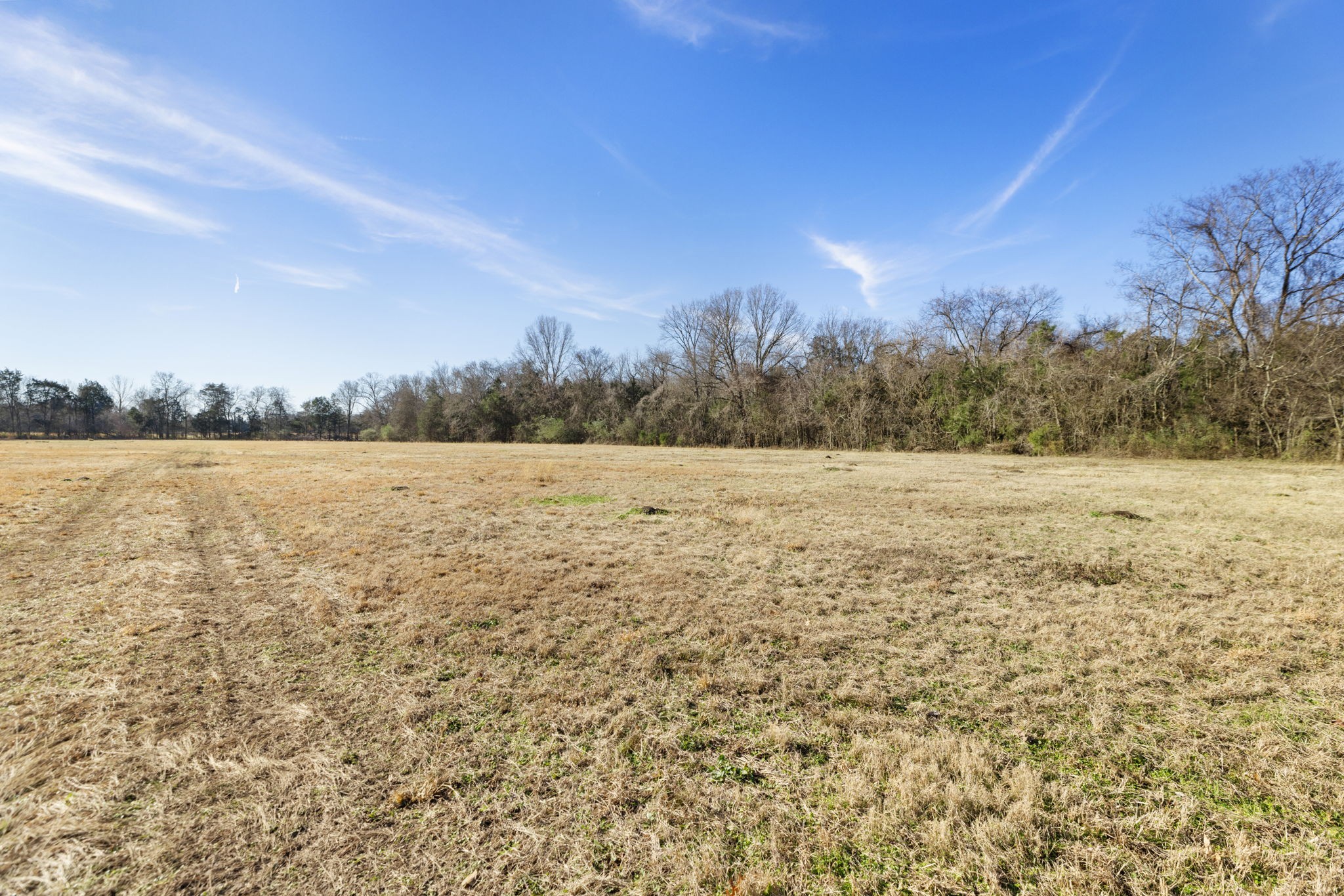 2265 Holly Grove Road Lewisburg, TN 37091 - Photo 43 of 47 a view of lake and mountain