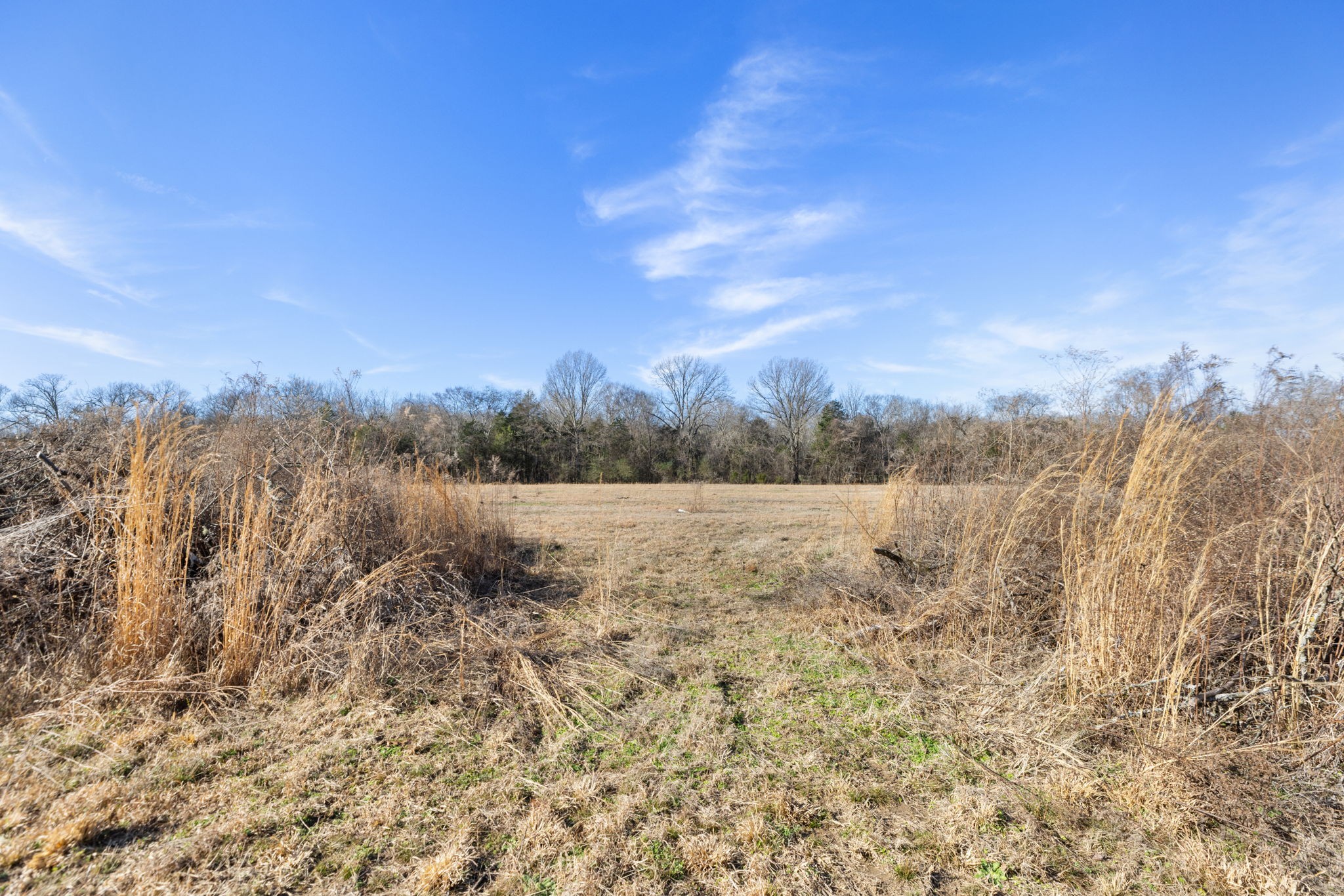 2265 Holly Grove Road Lewisburg, TN 37091 - Photo 9 of 47 a view of a yard
