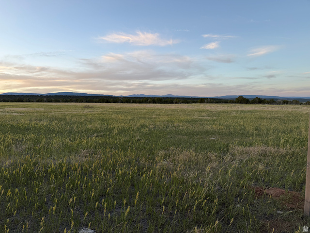 West N Altonah, UT 84002 - Photo 1 of 5 Expansive grassy field with a distant tree line and mountain range