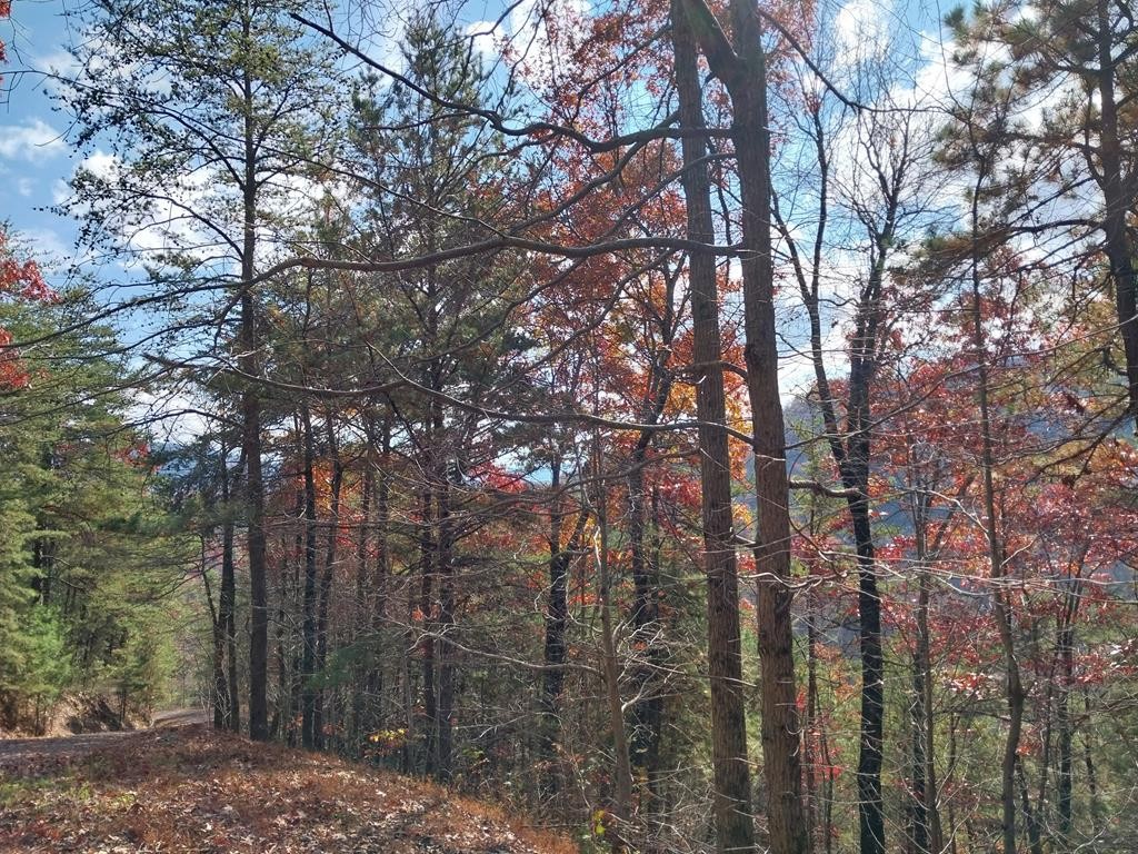 4 Happy Hollow Road Sevierville, TN 37862 - Photo 35 of 37 Gallery Image 35