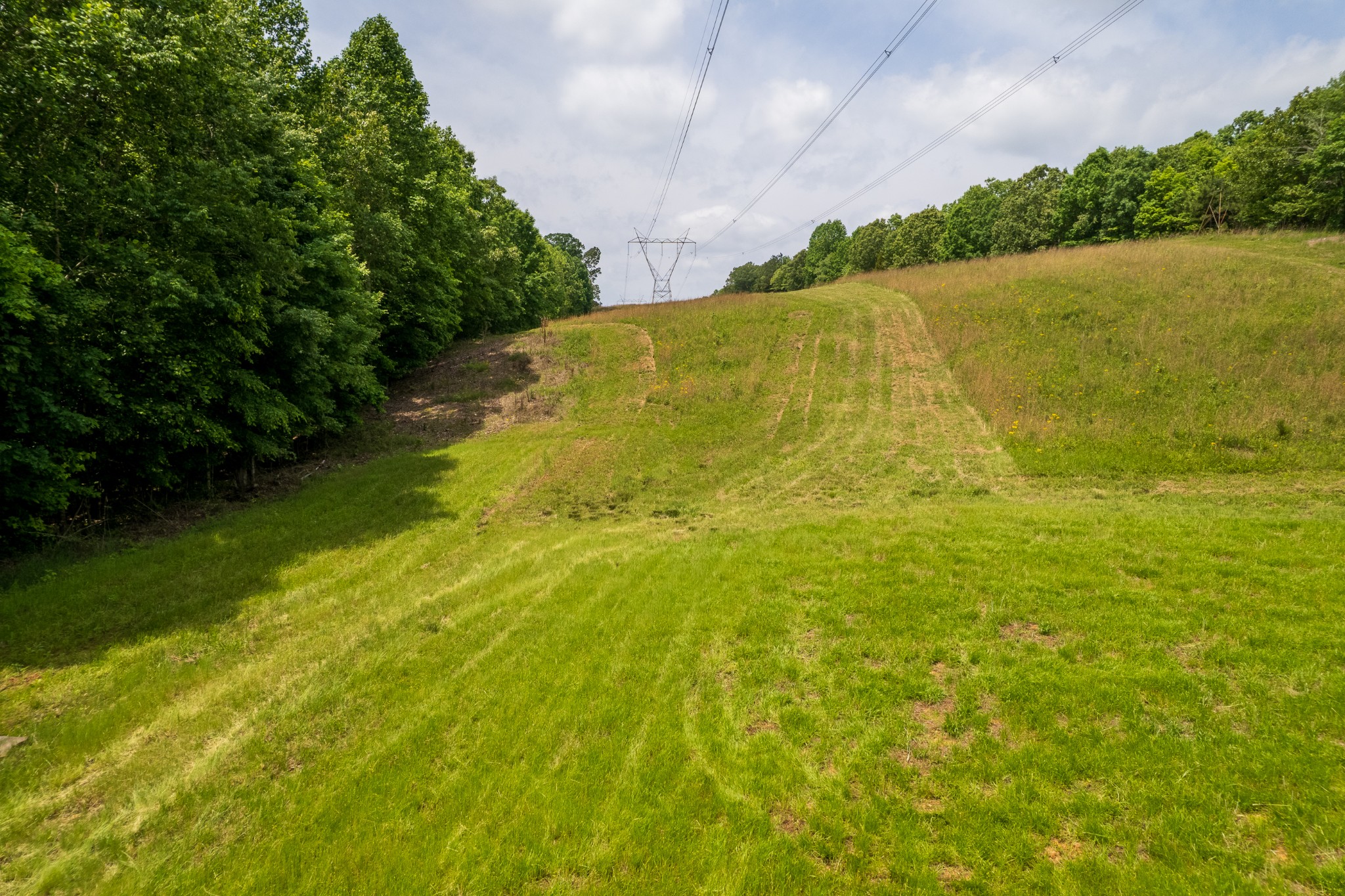 0 Pearson Road Cedar Grove, TN 38321 - Photo 11 of 21