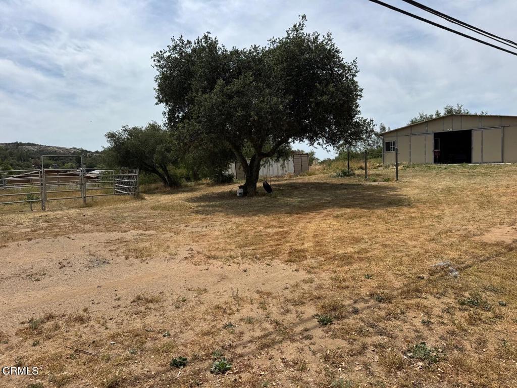 19163 Paradise Mountain Road Valley Center, CA 92082 - Photo 23 of 74 a view of a yard with a tree